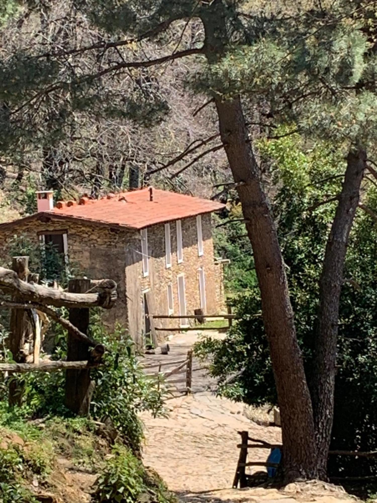 Centro Trekking A Cavallo Monte Brugiana ξενώνας Μάσσα Εξωτερικό φωτογραφία