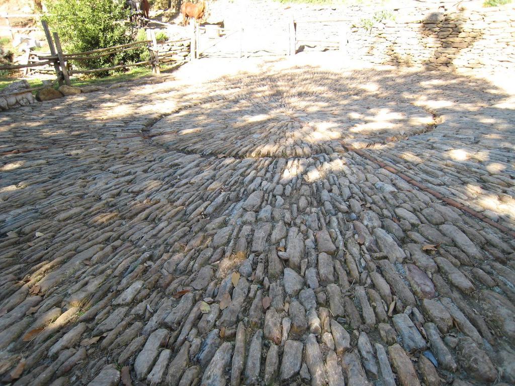 Centro Trekking A Cavallo Monte Brugiana ξενώνας Μάσσα Εξωτερικό φωτογραφία