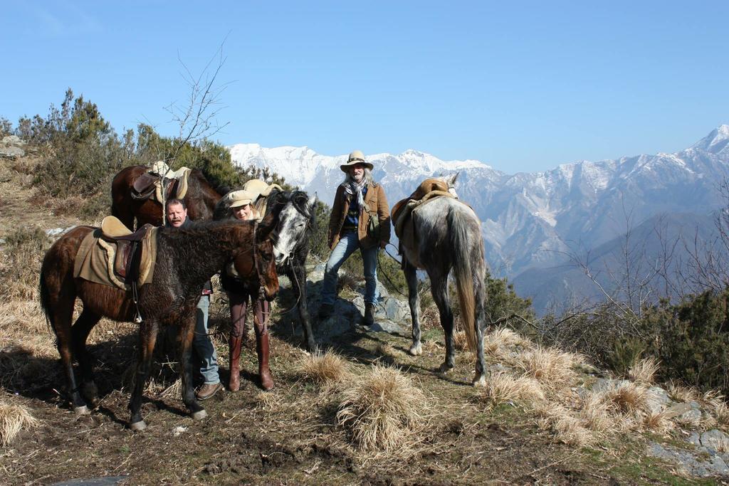 Centro Trekking A Cavallo Monte Brugiana ξενώνας Μάσσα Εξωτερικό φωτογραφία