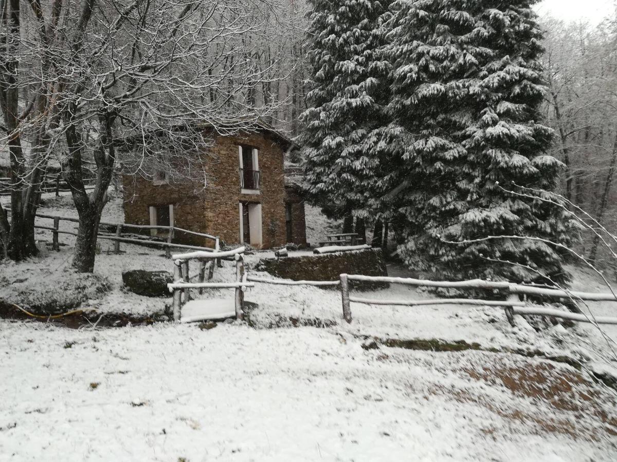 Centro Trekking A Cavallo Monte Brugiana ξενώνας Μάσσα Εξωτερικό φωτογραφία